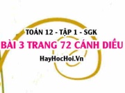 Bài 3 trang 72 Toán 12 tập 1 Cánh Diều